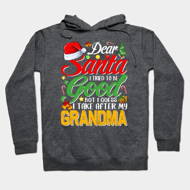 Dear Santa I Tried To Be Good But I Take After My Grandma Hoodie by intelus